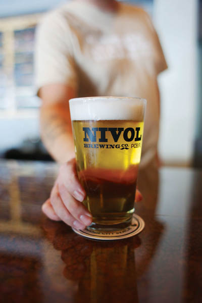 Image result for nivol brewery
