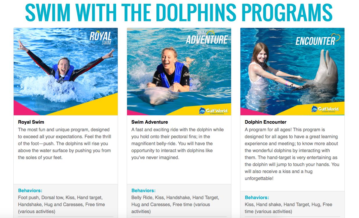 Gulf World swim with Dolphins